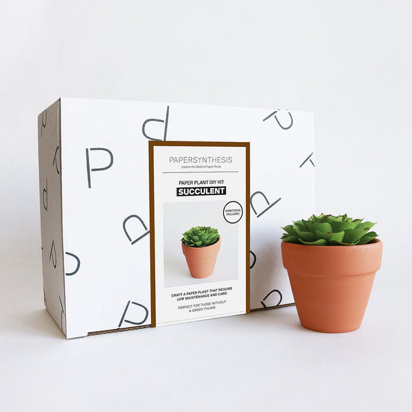 Succulent DIY Kit
