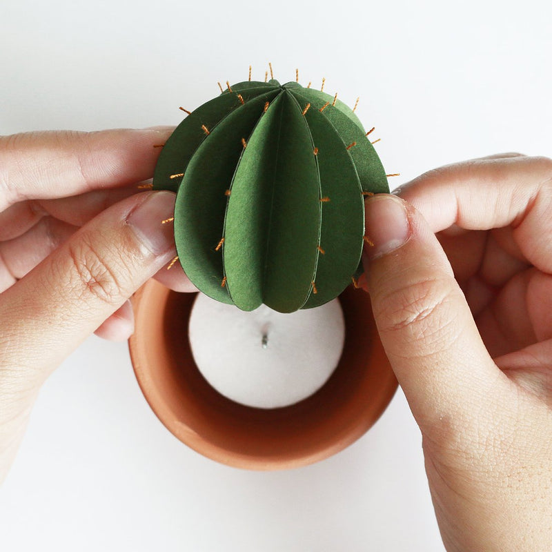 Spiky Cactus DIY Kit