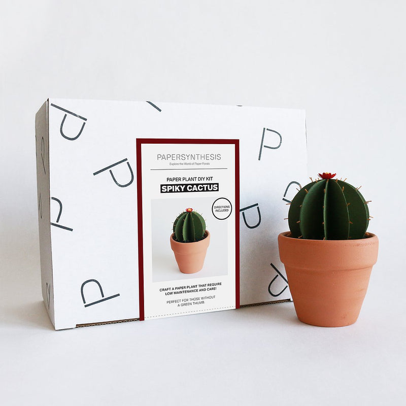 Spiky Cactus DIY Kit